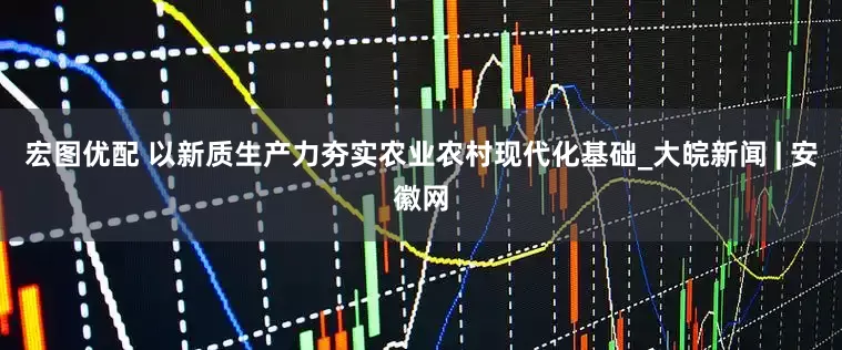 宏图优配 以新质生产力夯实农业农村现代化基础_大皖新闻 | 安徽网