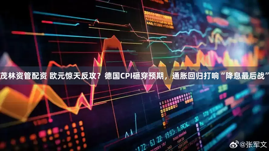 茂林资管配资 欧元惊天反攻？德国CPI砸穿预期，通胀回归打响“降息最后战”