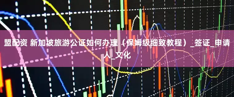 盟配资 新加坡旅游公证如何办理（保姆级细致教程）_签证_申请人_文化