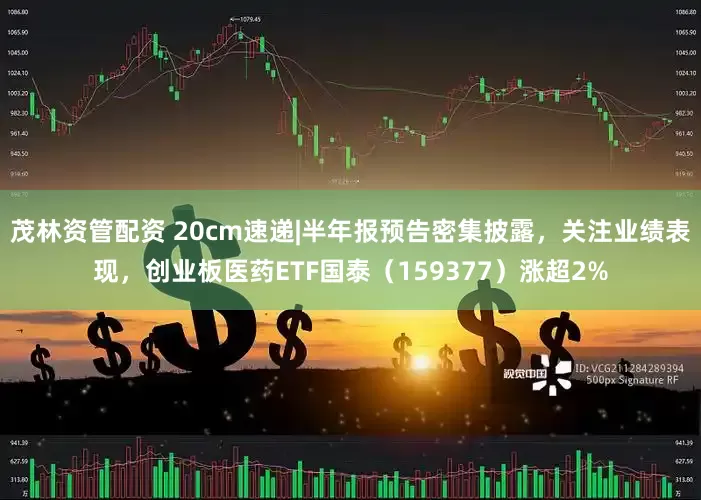 茂林资管配资 20cm速递|半年报预告密集披露，关注业绩表现，创业板医药ETF国泰（159377）涨超2%