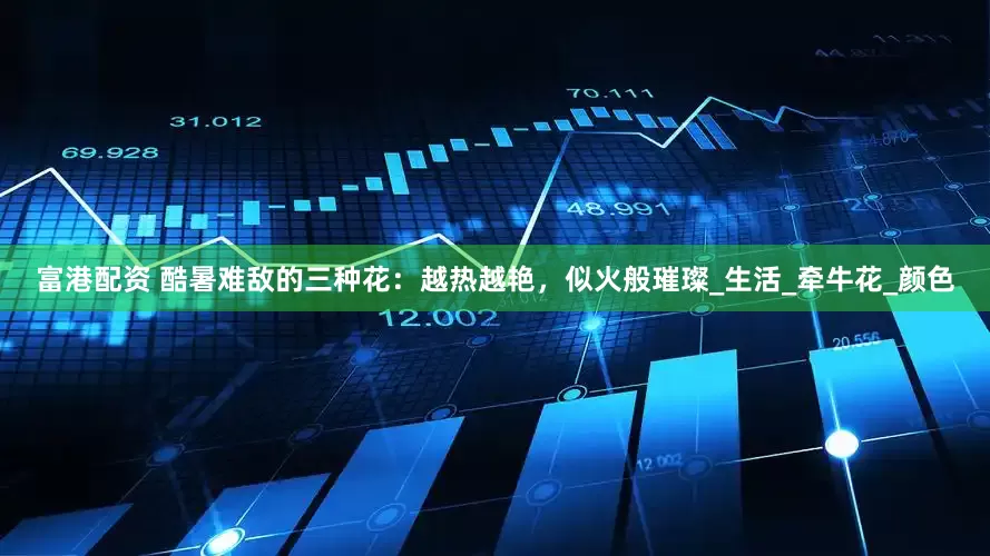 富港配资 酷暑难敌的三种花：越热越艳，似火般璀璨_生活_牵牛花_颜色