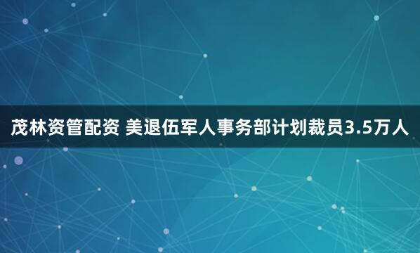 茂林资管配资 美退伍军人事务部计划裁员3.5万人